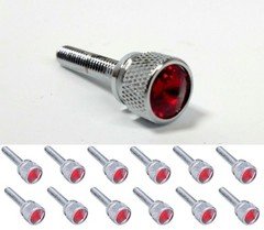 (Set/12) Dash Panel Long Screws for Kenworth, Red Jewel Chrome KW 2001 & Earlier