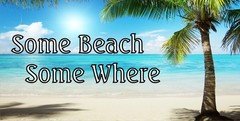 Some Beach Some Where Ocean Scene Photo License Plate