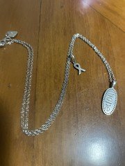 Sterling Silver necklace Features a Distinctive “hope” Charm