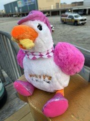 The Original Morey’s Piers Sunny the Seagull COUNTRY GIRL Size Small