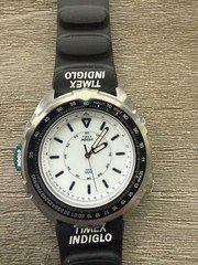 Timex 1995 Intrepid Reissue Quartz Sports Watch