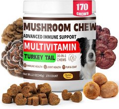 Turkey Tail Mushroom for Dogs Immune Support, 170 Chews Organic Mushroom Chews f