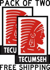 TWO PACK TECUMSEH ENGINE LAWNMOWER CHAINSAW DECAL STICKER CAR TRUCK FREE SHIP
