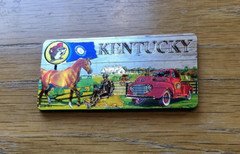 Two Sided Buc-ee's Souvenir Kentucky Magnet - Metallic 1.75 x 3.5 in.- New