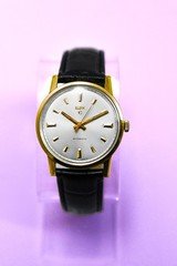 Vintage 1960s Elgin Automatic Swiss Made - Sharp Sunburst Dial - Elegant