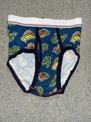 Vintage Dinosaur Boy’s L Fruit of the Loom Print Tight Modified Briefs Mens New