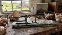Vintage Reliable Egg Scale James Mfg Co Los Angeles CA Egg Grader