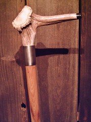 walking stick ELK antler handle STEEL collar stiff tapered HICKORY wood shaft