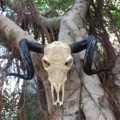Wall Hanging Resin Cow Skull Ornament Rustic Wall Skull Bull Head Decor Ivory
