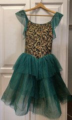 Weissman Showtime 'Sanctuary' Sequin Scroll Degas Dress Ballet MA Medium Adult