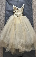 Weissman Small Child SC Beige Ballet Dress with Intricut Design on the body