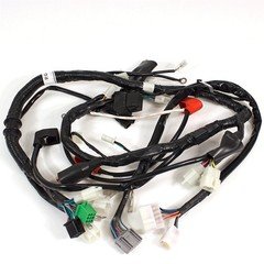 Wiring Loom Non DRL for ZS125-79 Easy Installation Street Motorcycle WRLM109 12V